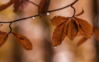 Finding Meaning In Transitions