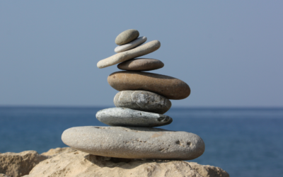 The Mindful Job Seeker